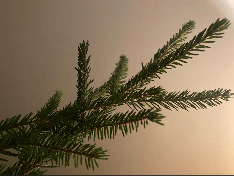 Community Relations Prize, Thank You Speech