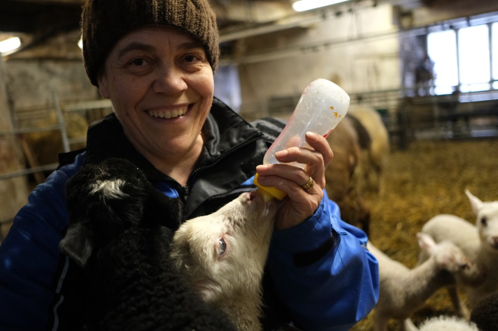 Australia, luku 11: Viljelyn käsityöläisyydestä