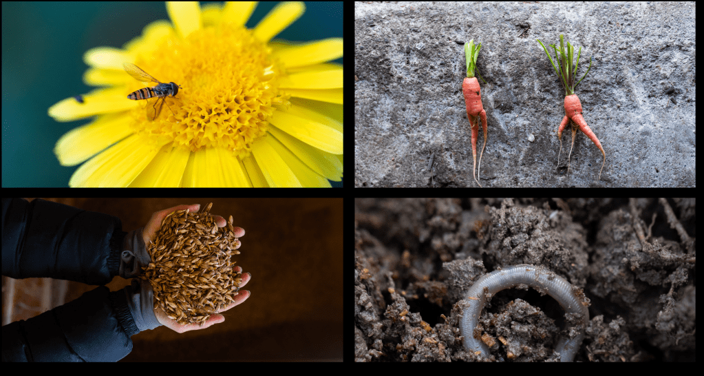 Vastavuoroisuuden dynamiikka uudistavassa&nbsp;maataloudessa