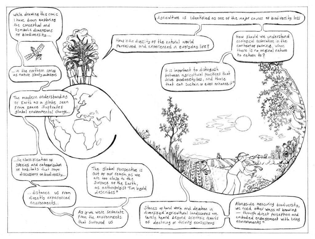 An interdisciplinary experiment in doing a literature&nbsp;review